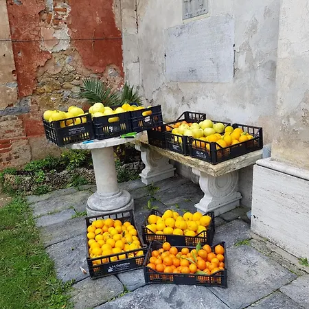 Cavallini