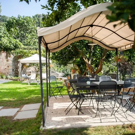 Cavallini * Camaiore