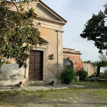 Cavallini * Камайоре