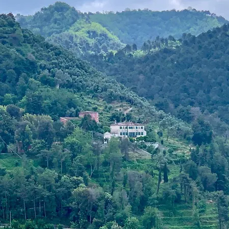 Cavallini Alojamento de Turismo Rural